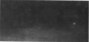 �ط���Ϳ����Ĥ���׵Ľ������