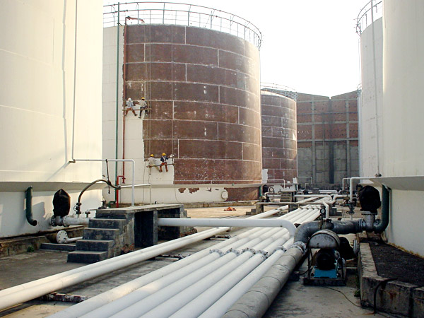 ǳ����̼�᳤���ͺ����������